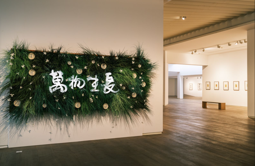 账号是糯米的趣味生活_糯米的趣味生活是什么品种_糯米的趣味生活怎么不更新了