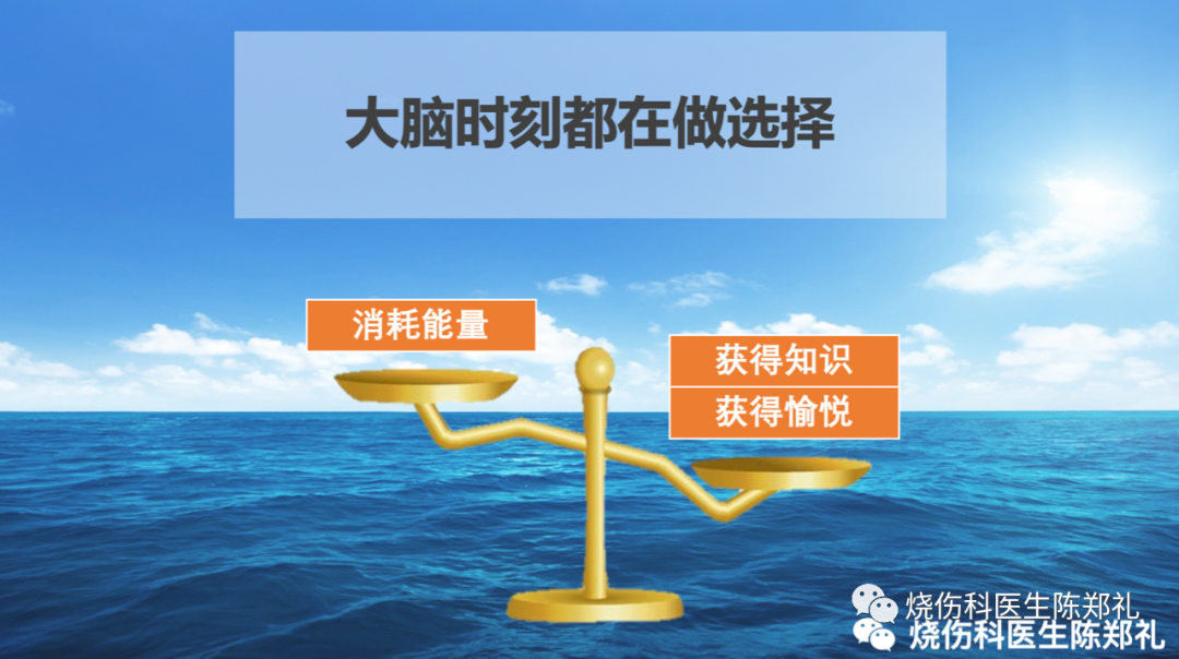 生活技巧科普文章_科普文章写作技巧_科普文章如何写