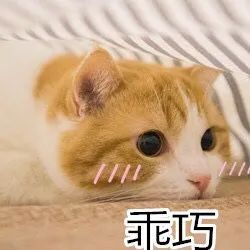 男神游泳身材冠军是哪个_游泳冠军男神的身材是多少_男神游泳身材冠军是谁